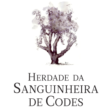 1ª Edição - Prémio Floresta É Sustentabilidade